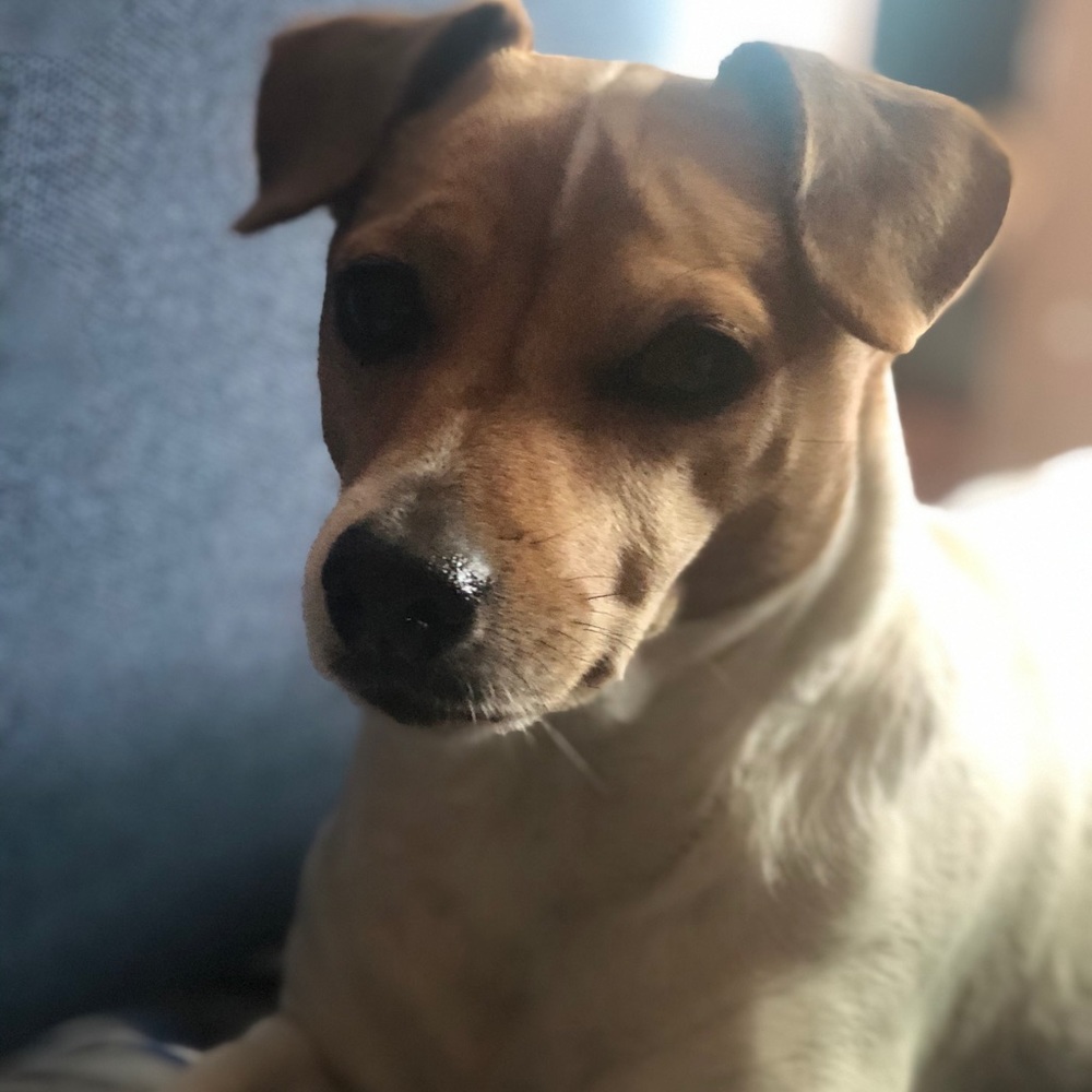 Meet your Posher, Diego